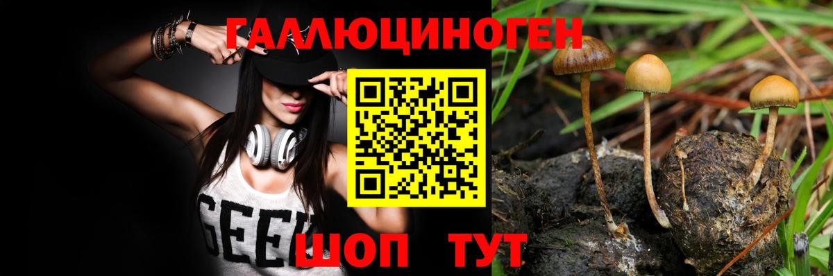 Тамбов  Галлюциногенные грибы ЛСД  Вход с VPN 