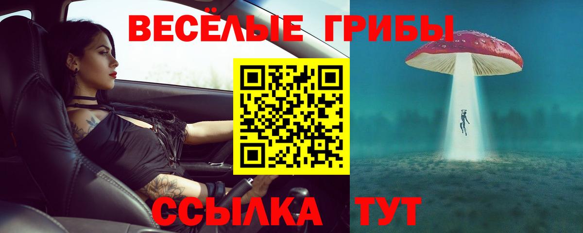 Псилоцибиновые грибы Psilocybine cubensis Тамбов